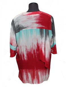 Camicia Chalou  fantasia rosso azzurro 2