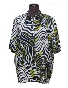 Camicia Chalou fantasia blu verde